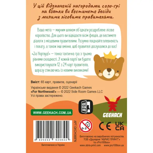 Board Game For Northwood! photo 7