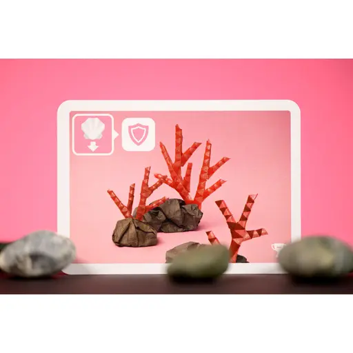 Board Game Sea Salt & Paper - Extra Pepper photo 7