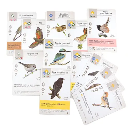 Board Game Wingspan - Oceania Expansion photo 3