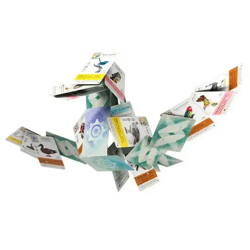 Board Game Wingspan - Oceania Expansion photo 7