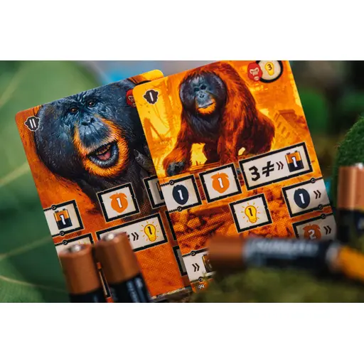 Настільна гра Після нас (After Us) photo 18