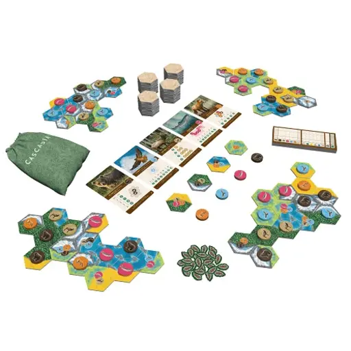 Board Game Cascadia photo 5