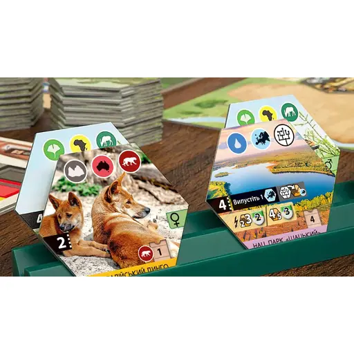 Board Game Sanctuary photo 6