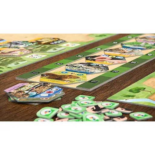 Board Game Sanctuary photo 5