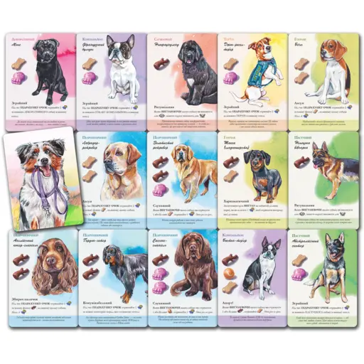 Настільна гра Парк собак (Dog Park) photo 11