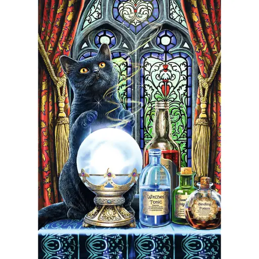 Puzzle Magic Collection - The Witch`s Apprentice (1000) photo 2