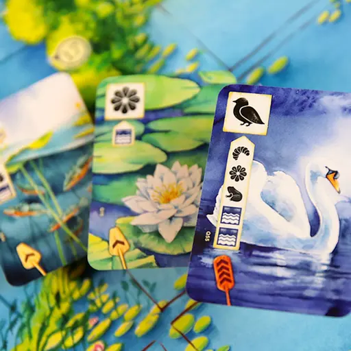 Board Game Meadow - Downstream photo 13