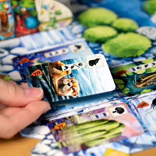 Board Game Meadow - Downstream photo 11