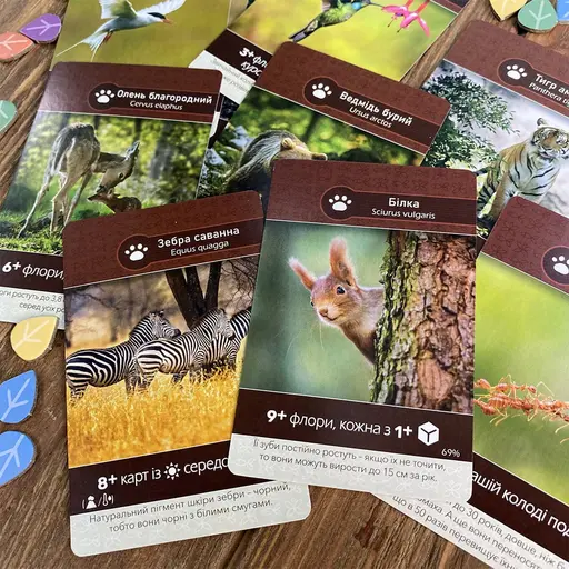 Board Game Земля (Earth) photo 6