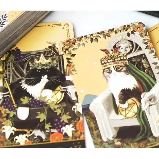 TAROT Cards Cat Muse photo 3