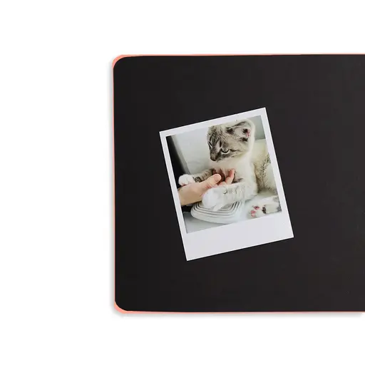 Фотоальбом Життя в картинках photo 5