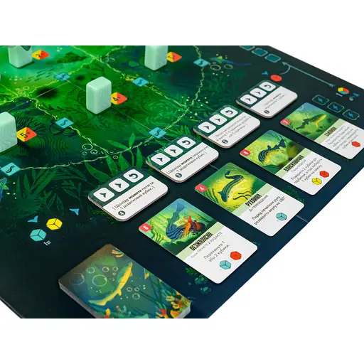 Board Game Kelp - Shark vs Octopus photo 8