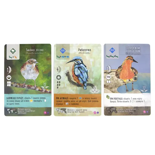 Board Game Крила. Фан Арт Пак (Wingspan: Fan Art Pack) photo 6